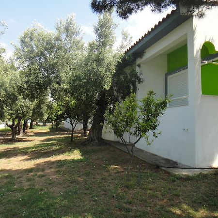 Bungalows Camping Kouyoni Gerakini Exterior photo